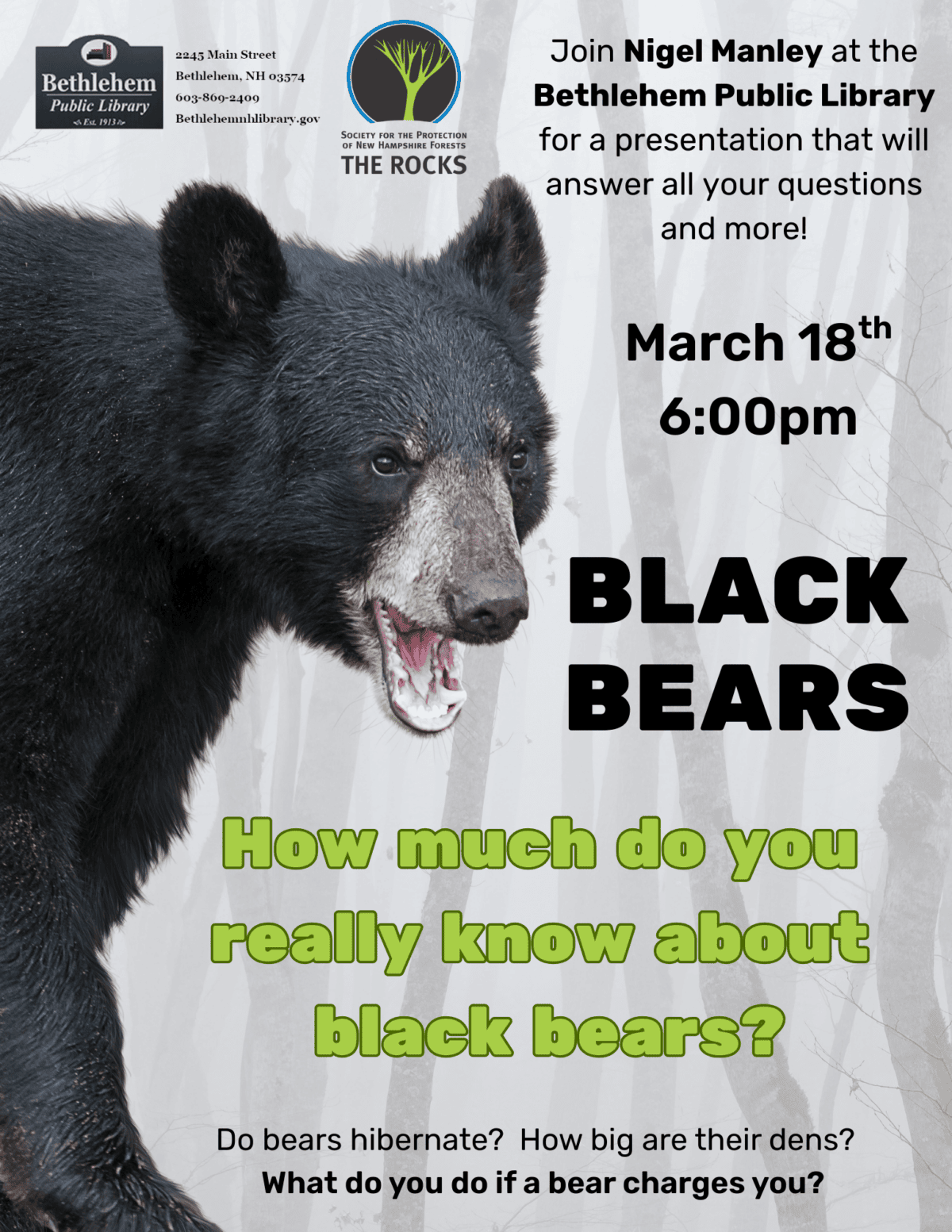 black bears program flyer