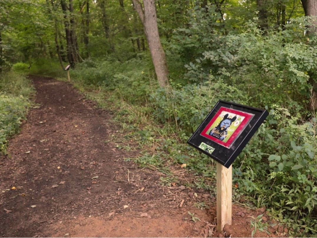 A forest trail with framed artwork displayed on wooden posts beside the path; trees and dense green foliage line the trail on both sides.