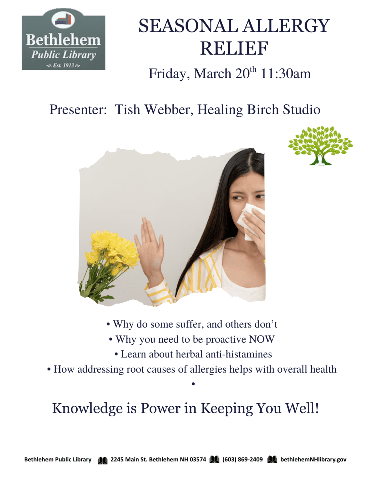 Seasonal allergy relief program flyer