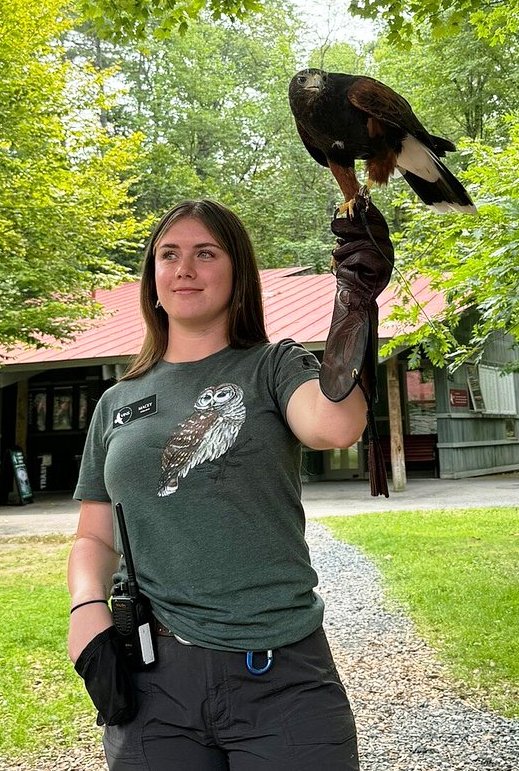 woman holding a bird of prey on her arm